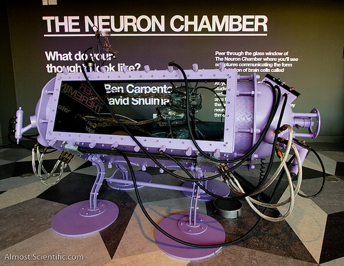 The Neuron Chamber